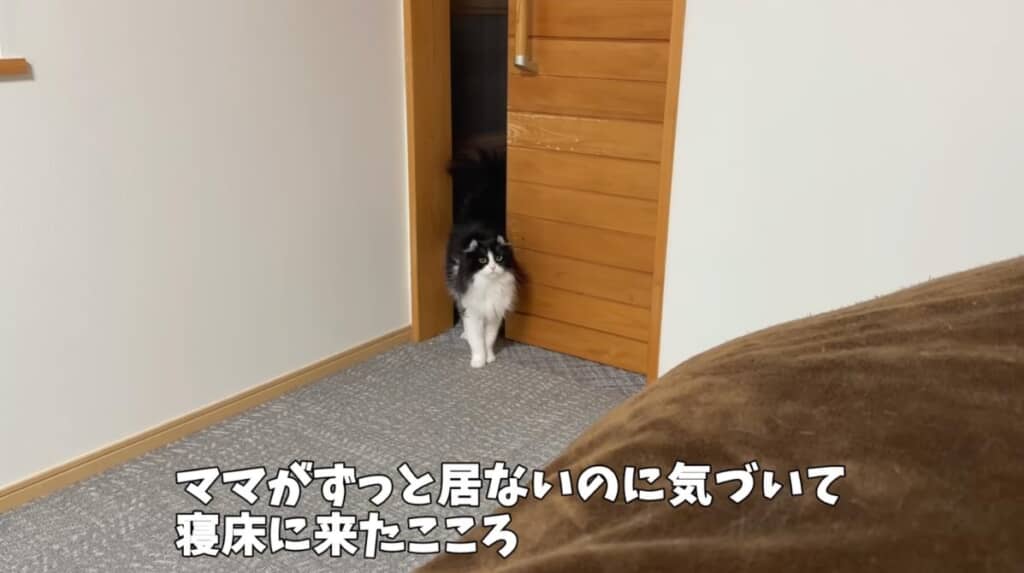 お見舞いにやって来たこころちゃん