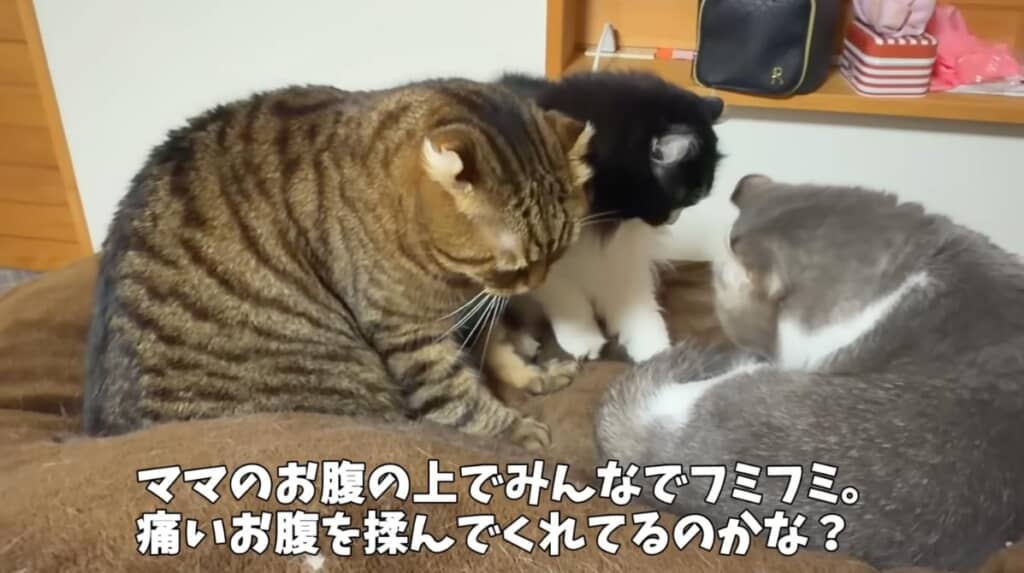 みんなでママを看病