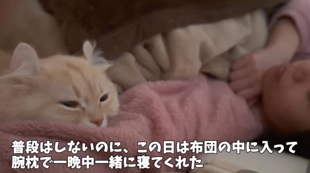 実は一晩中そばにいてくれたそうです