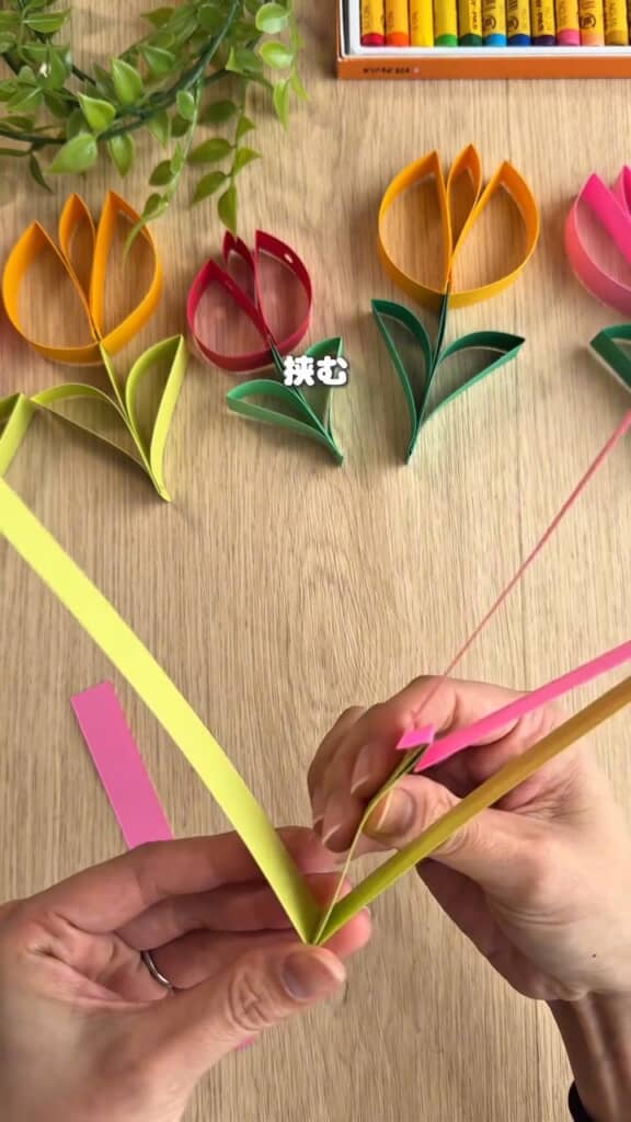 茎の外側から長い緑の帯をかぶせる