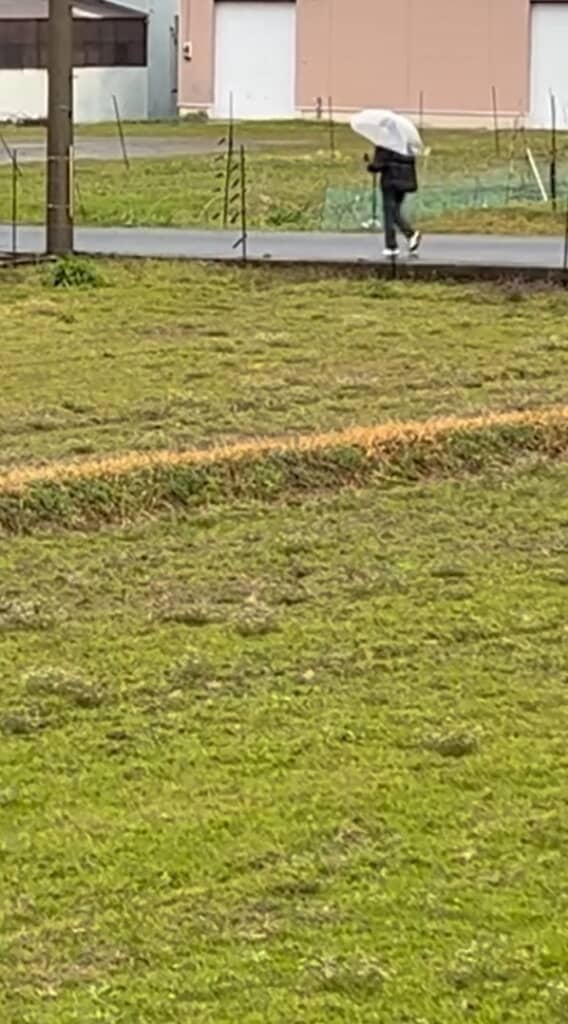 登校する長男くん