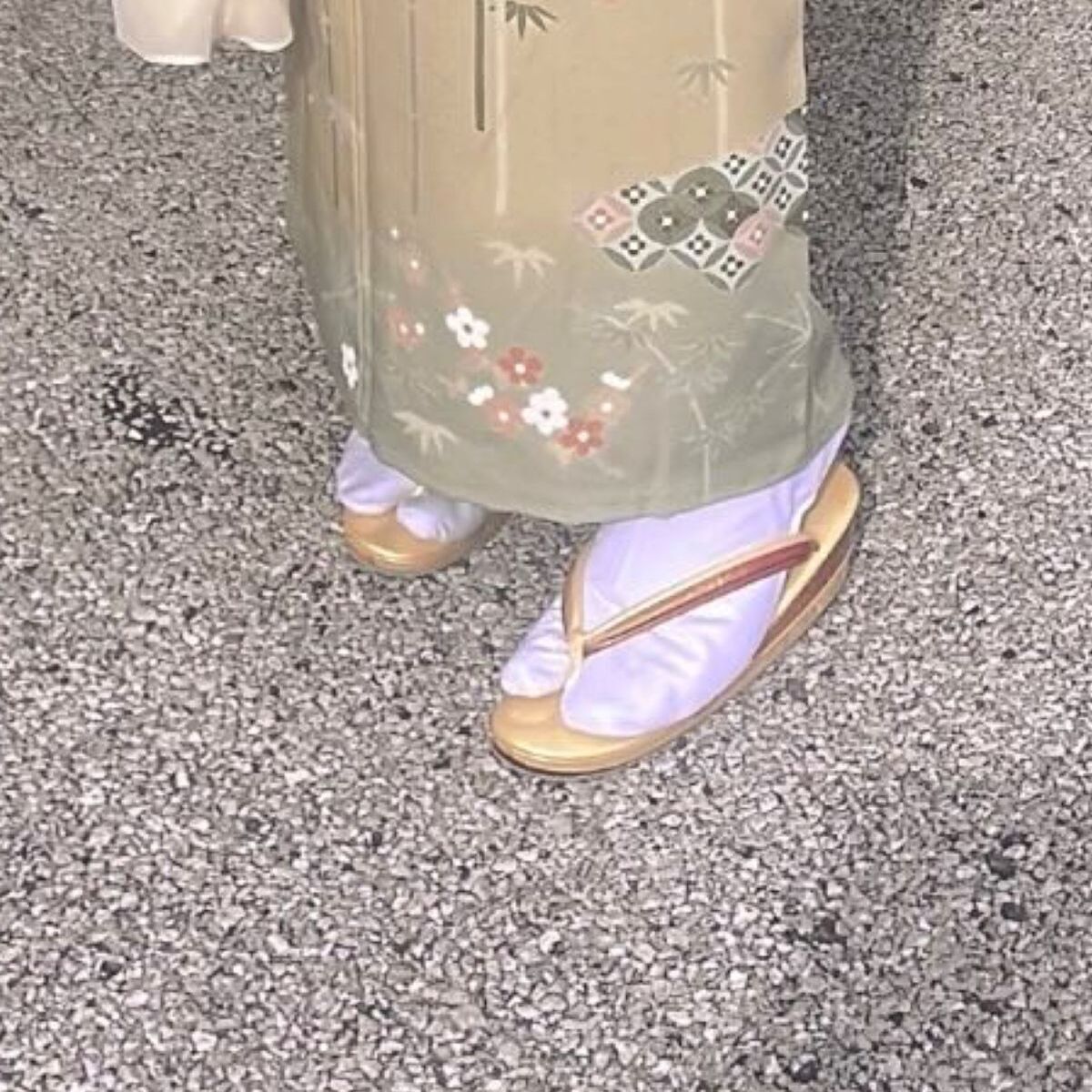 卒業式で、母が選んでくれた“総柄の訪問着”を着たら……　目を奪われる姿に「芸能人かと」「私もこんな色着てみたい」 | ライフスタイル ねとらぼ