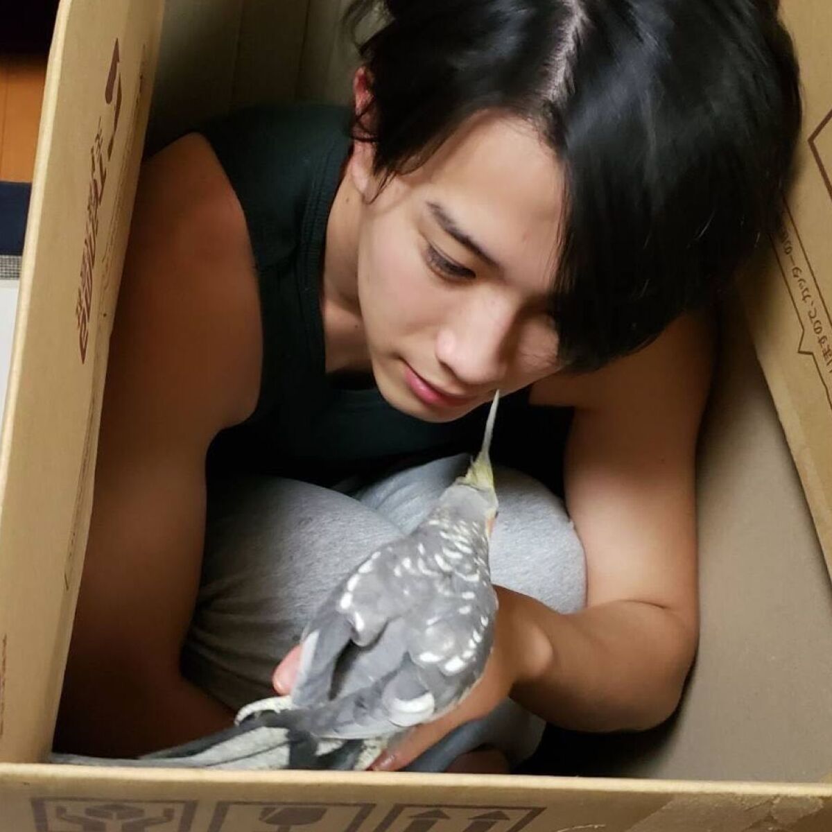 インコを手なずける男子高校生→23歳になった現在は……　まさかの姿に「嘘だと言って」「今震えてます」 | 小動物 ねとらぼ