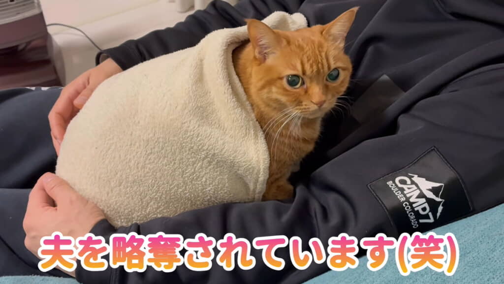 パパさんを略奪するミーちゃん