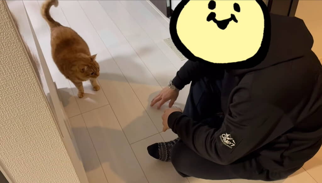 パパさんに呼ばれると