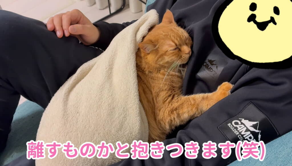 うっとり目を細めるミーちゃん