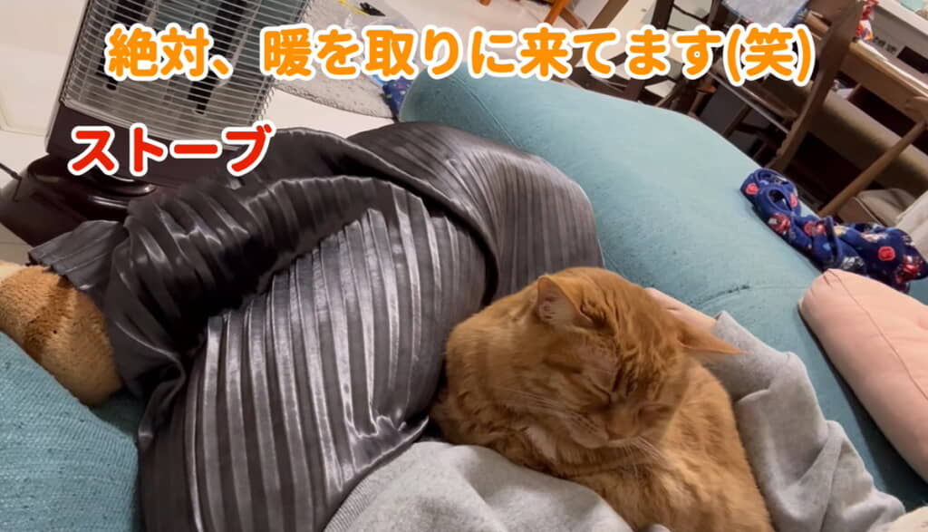 パパさんがいないときはママのところへ