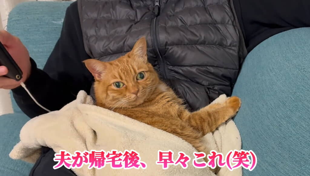 パパさんが帰宅するとこれ