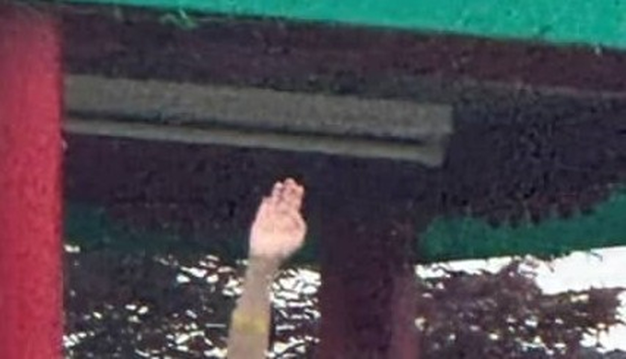 「もっとあるやろが！」夫が“お気に入り保存”してた妻の姿にツッコミ多数「大喜利で使われそう」「笑い過ぎて死ぬ」（1/3） | ライフスタイル ねとらぼ