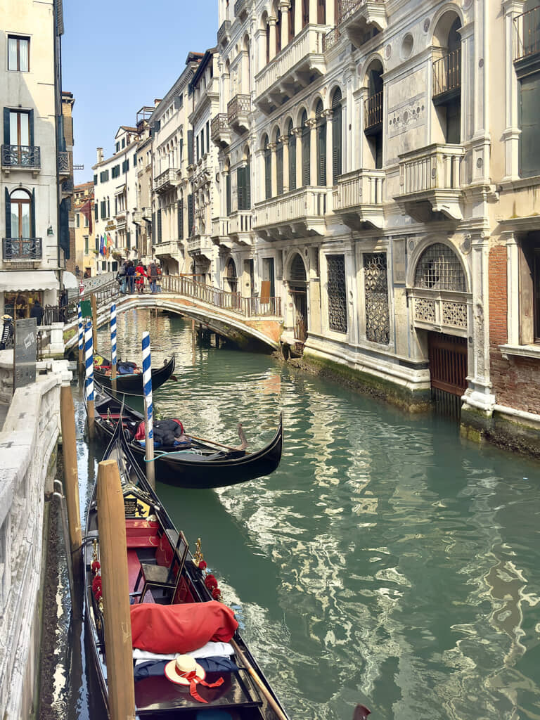 本場のヴェネツィアン・ゴンドラだ……！