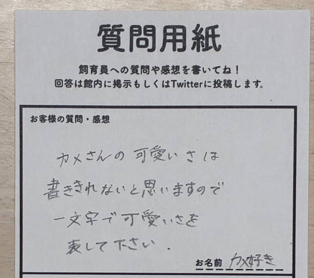カメのかわいさを1文字で表してほしいという客からの要望
