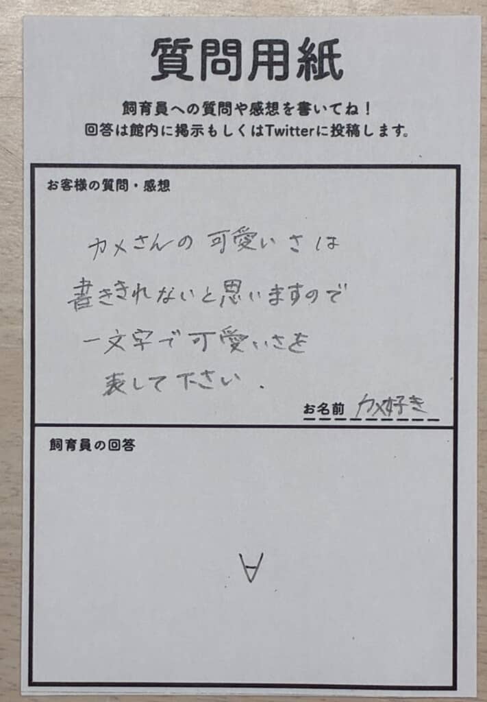 カメのかわいさを数学で「全て」を意味する記号∀で表現