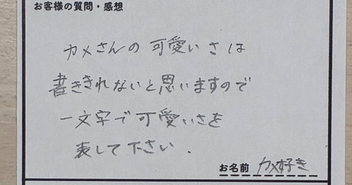 客「カメさんのかわいさを1文字で表して」→飼育員の思わずうなる回答が630万表示「意味わかるやついるのか」「秀逸すぎる」（1/3） | その他生き物 ねとらぼ