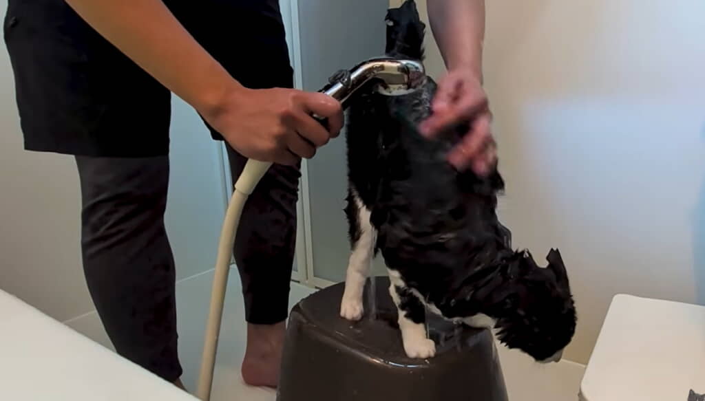 気持ち良くてお尻が上がっちゃう