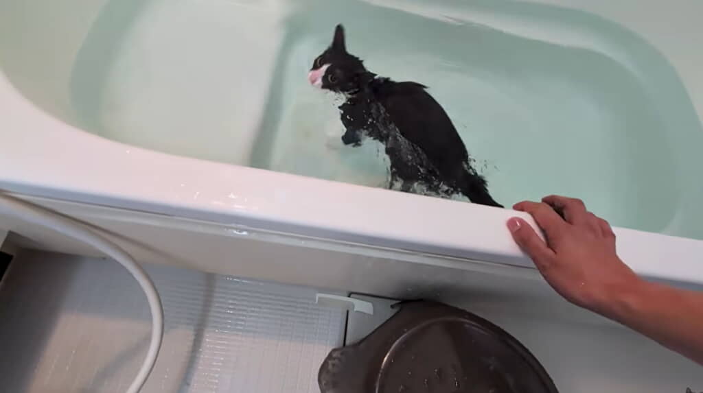 一目散に浴槽へ