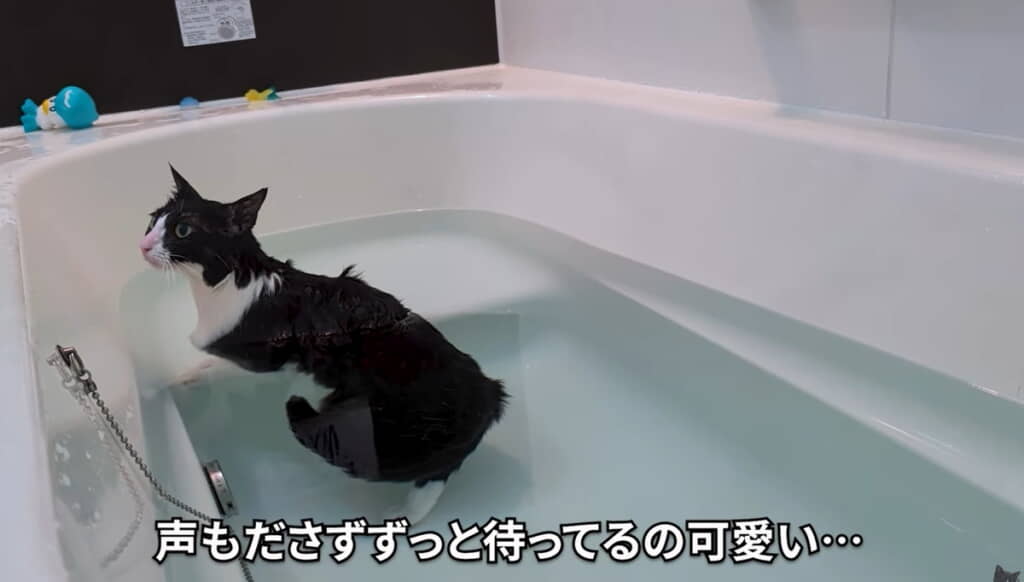 準備するタケさんを待つハナちゃん