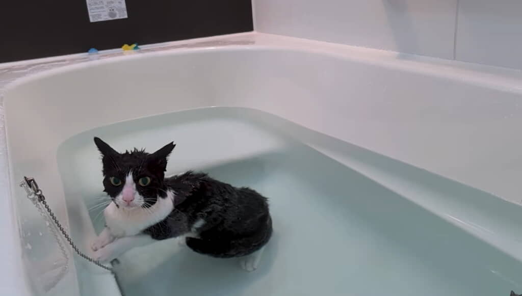 お手てそろえてかわいすぎる