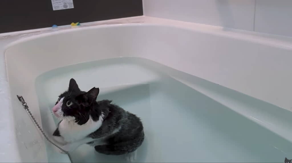 人間のように座って入浴ｗ