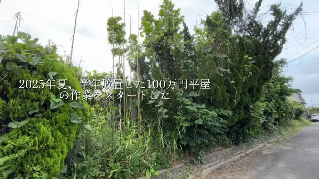 植物に覆われて見えなくなってしまった平屋