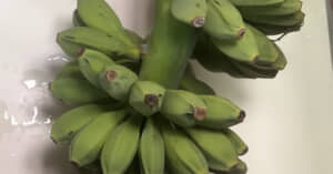 バナナそっくり