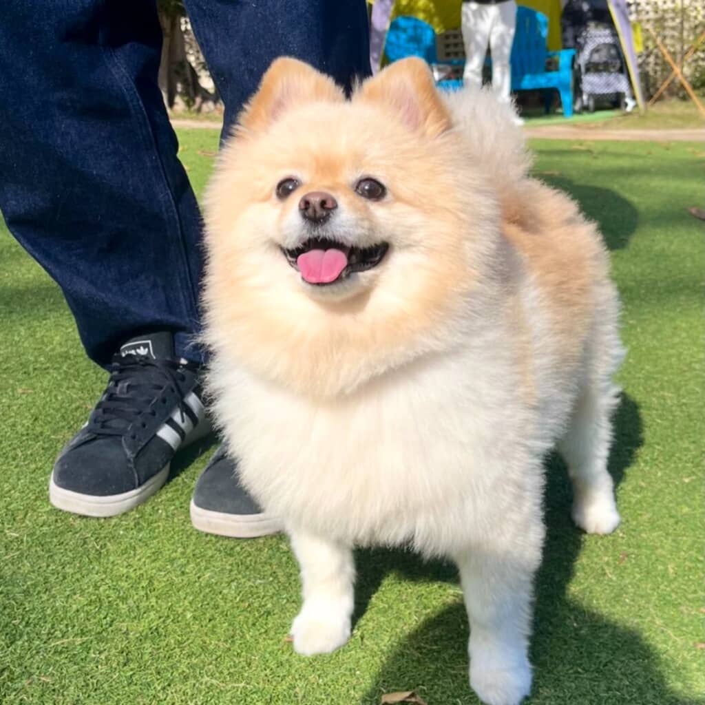 なんて輝かしい笑顔！