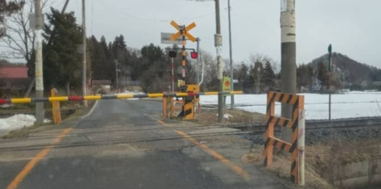 「山形だけ？」踏切待ち中、通過する電車をふと見ると……　目がバグる“まさかの光景”に「え、合成じゃなく？」「なんか怖い」（1/3） | 電車 ねとらぼ