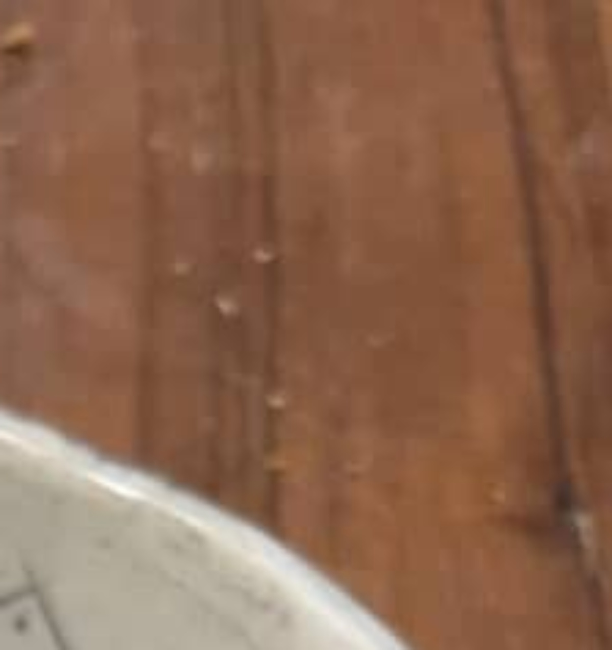 「パティシエ娘が家にいるとこうなる」→母が見た圧巻の光景は……　「嫁に来ないか？」「うちにも1人欲しい」（1/3） | ライフスタイル ねとらぼ