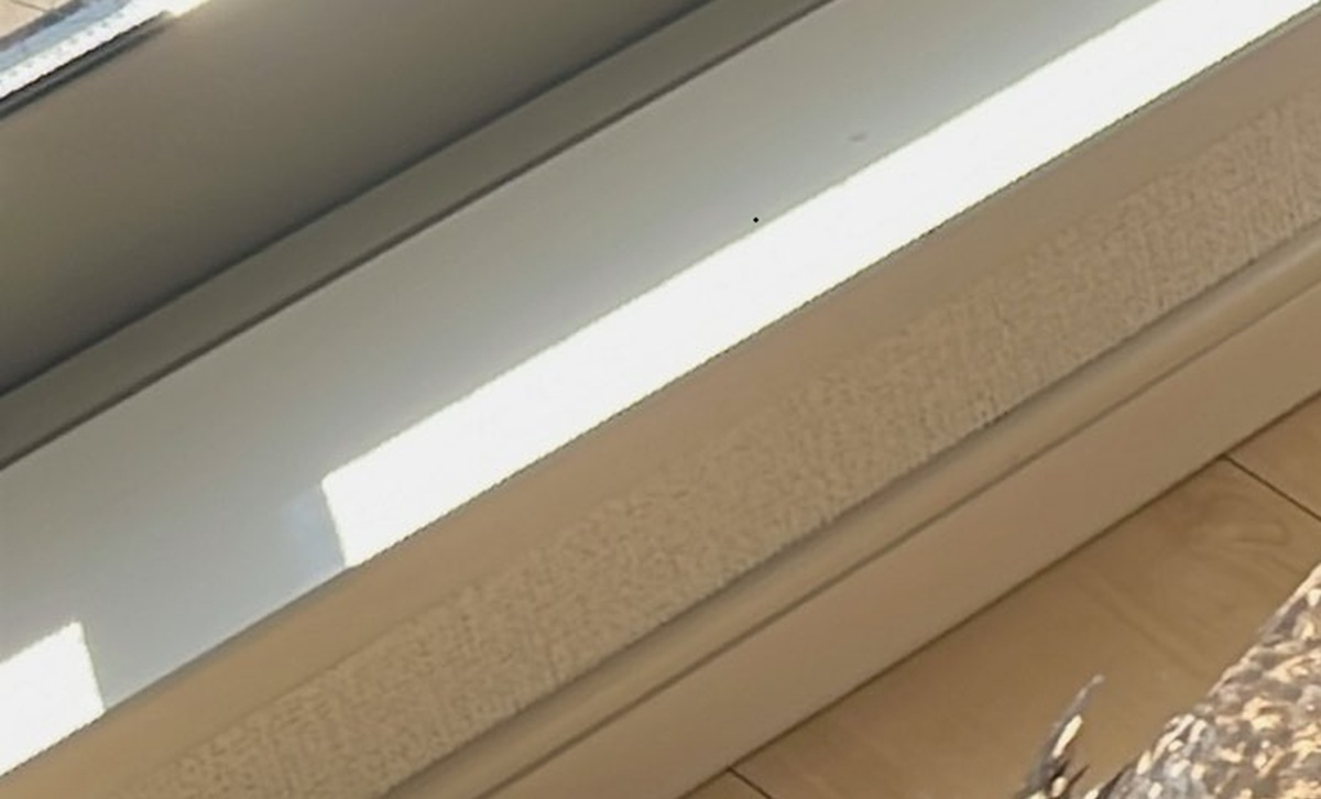 窓際で「ゴトッ……」→「振り向いたらコレで心臓止まりかけた」　890万表示の光景に「本当に心臓に悪いww」「やめてくれいw」（1/3） | その他生き物 ねとらぼ