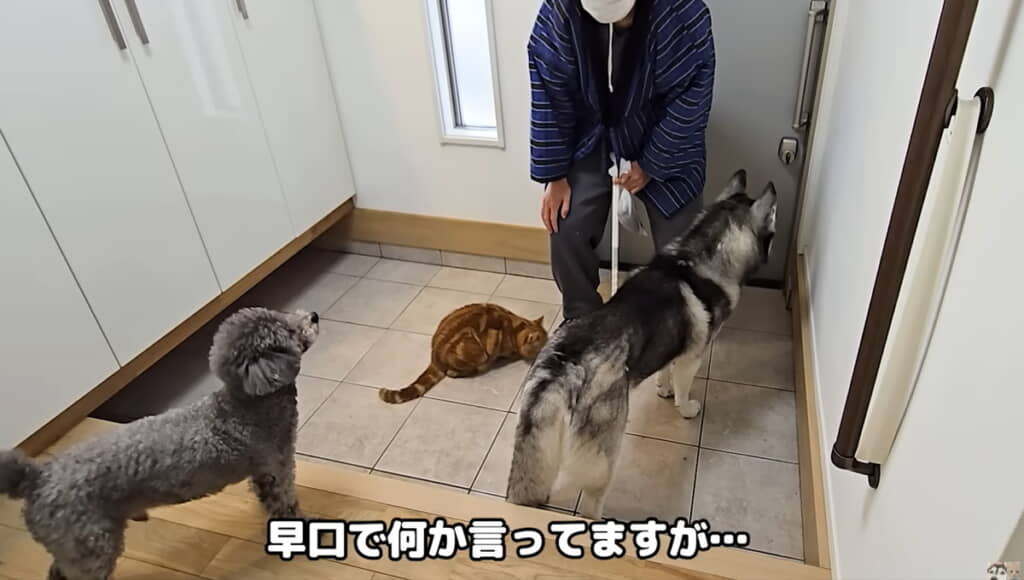 すごい剣幕&早口で何か仰ってます