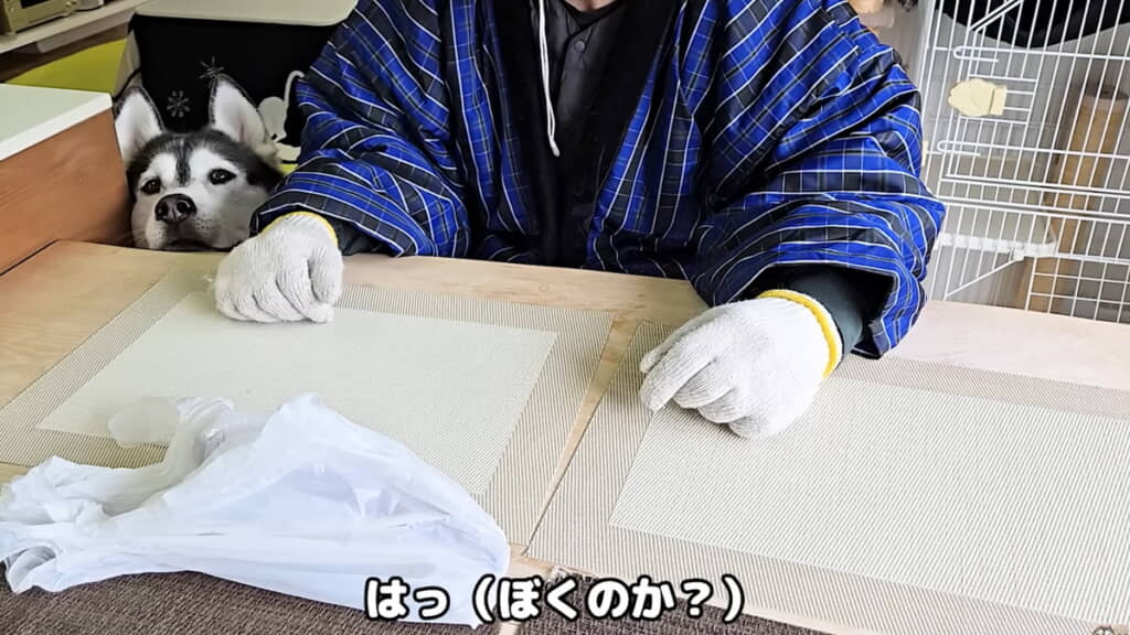 焼き芋に興味津々なはっちゃん