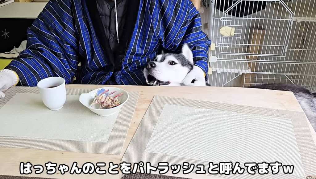 パトラッシュと呼ばれてニコニコ