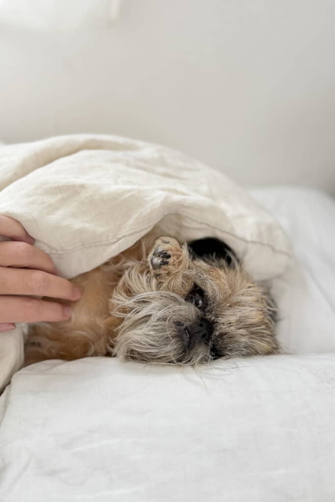 なんてかわいい……