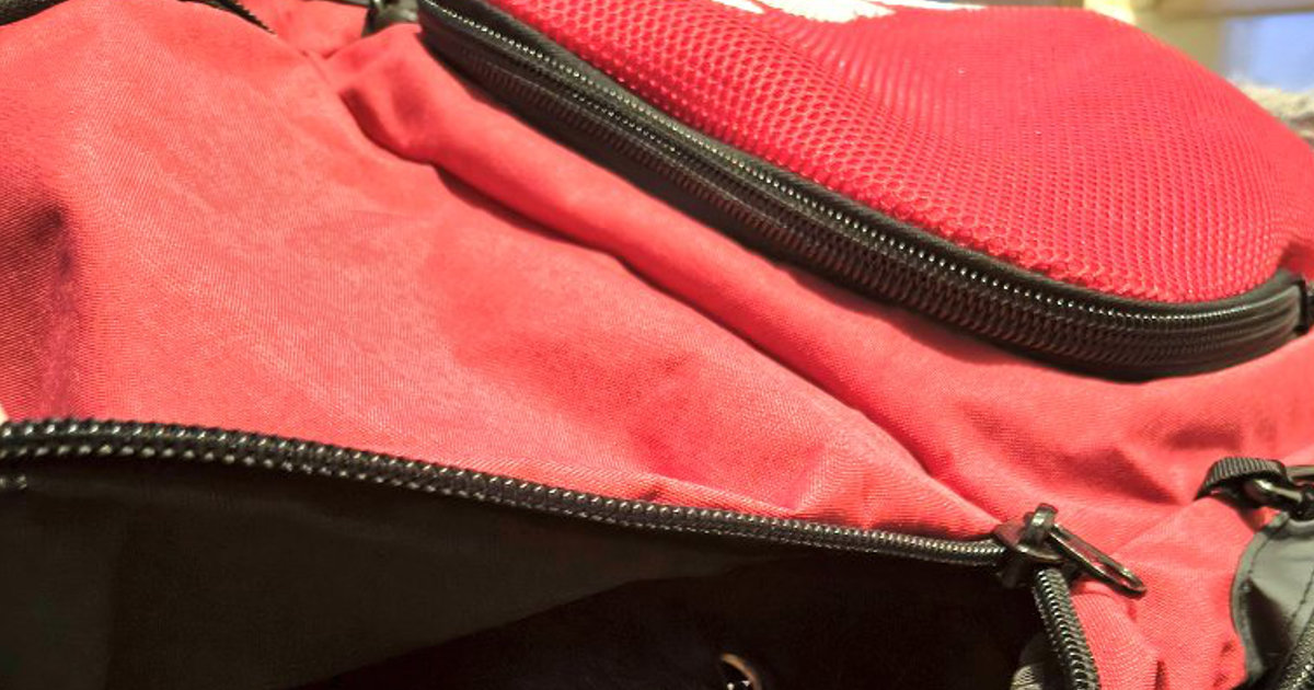 スイミングに行く次男、バッグが「なんか重い」→開けたら…… “驚きの光景”に「あっぶな」「油断ならない」(1/2) | ライフスタイル ねとらぼ