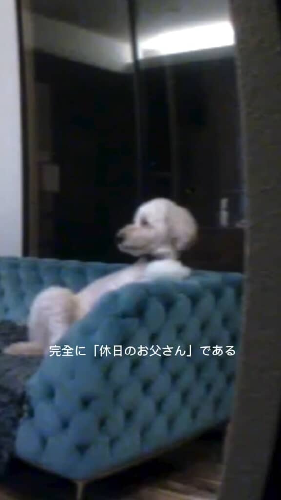 このダレッとした居住まいがお父さんっぽくて既視感すごい