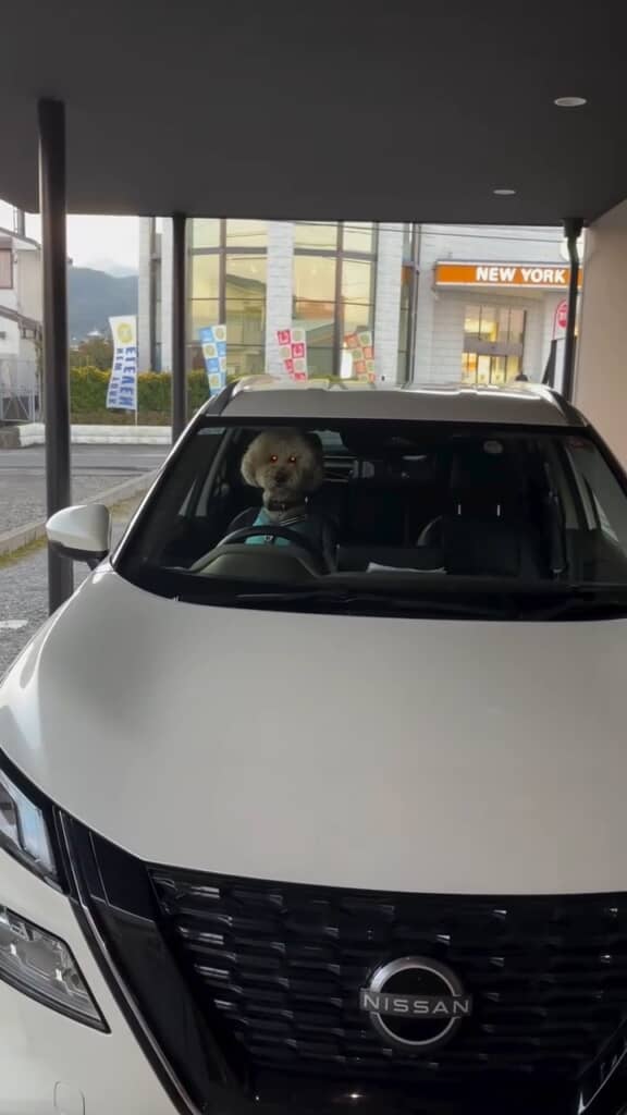 客待ちの運転手？