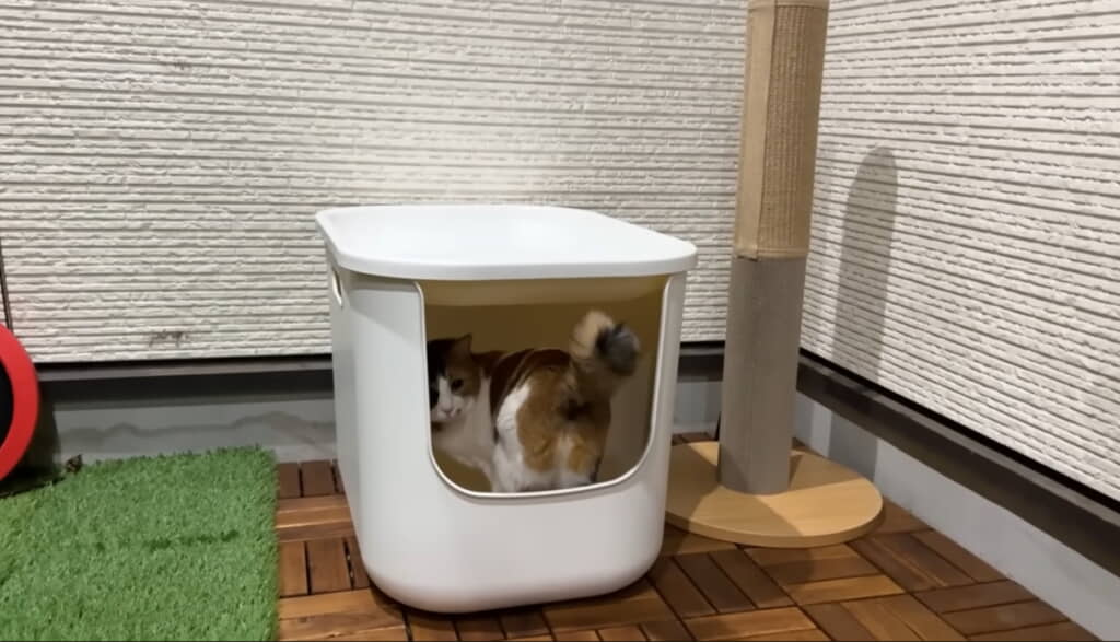 無印良品の「ポリプロピレン ハウスにもなる猫用トイレ」