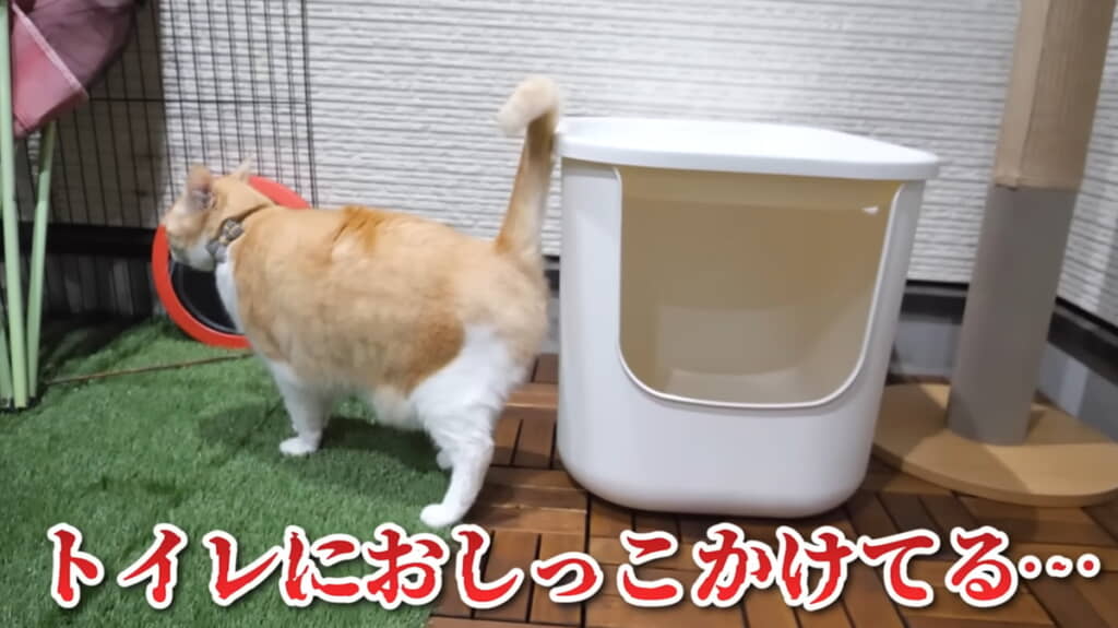 外側におしっこしちゃった……!