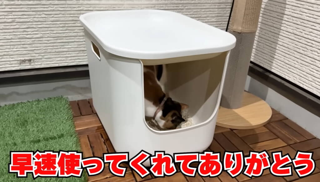 さっそく使ってくれました◎