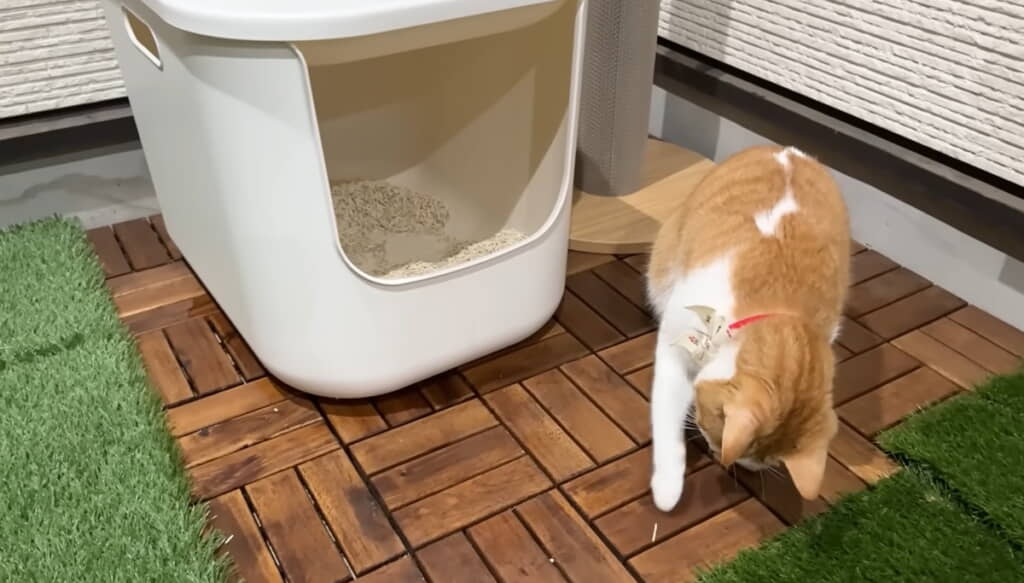 チップくん、女子が入ったあとは気まずいかな?