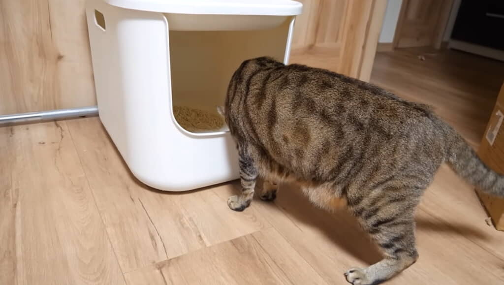 体の大きなティガーくんも使いやすそう