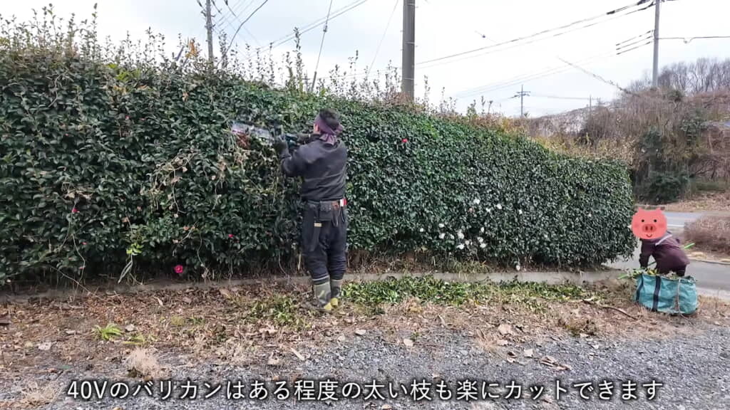 バリカンで形を整える