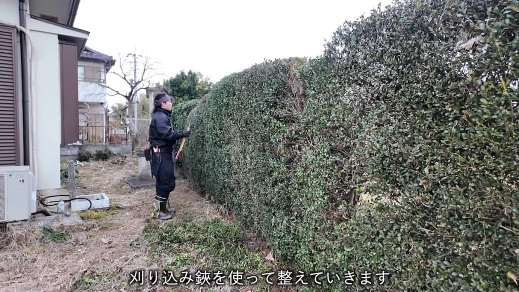 刈り込みバサミでていねいに剪定