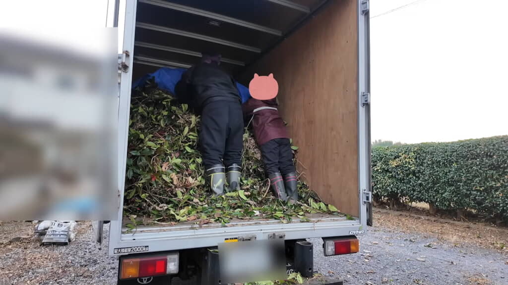 大量の枝葉をトラックに詰め込む