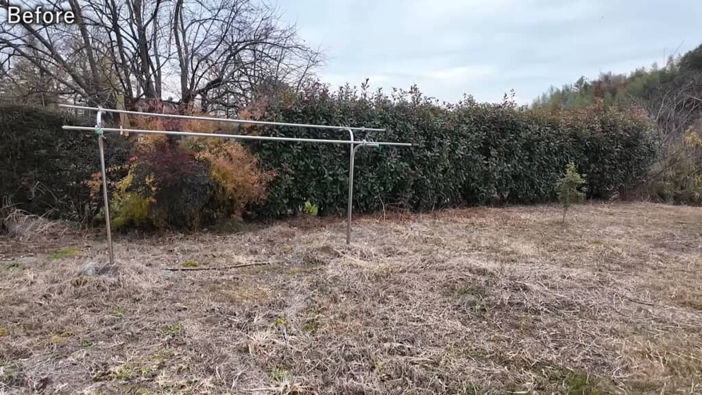 作業前のレッドロビンの生垣