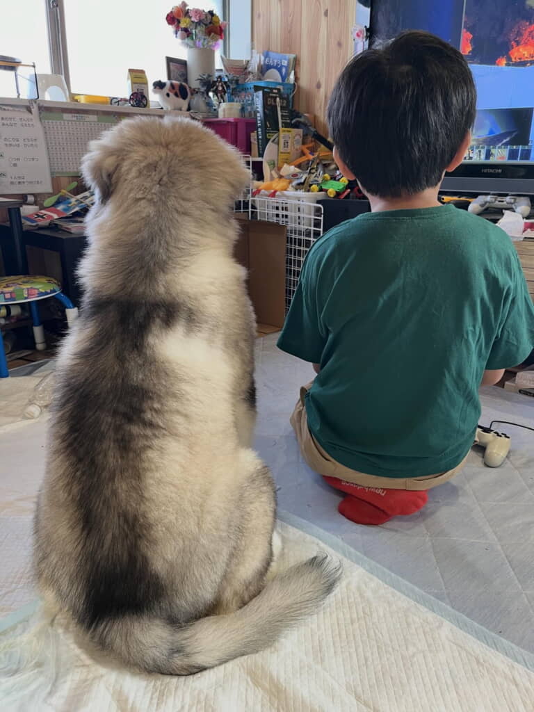 生後4カ月の扶桑くん＆小学3年生の息子くん