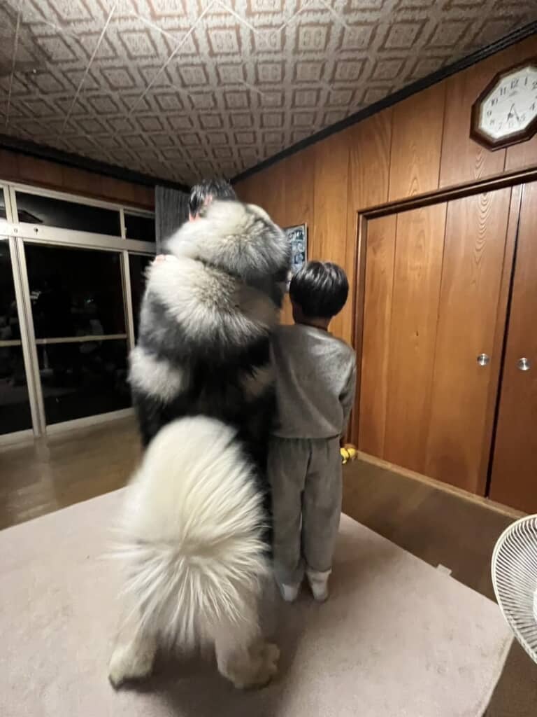 息子くんの背丈を超えちゃった！