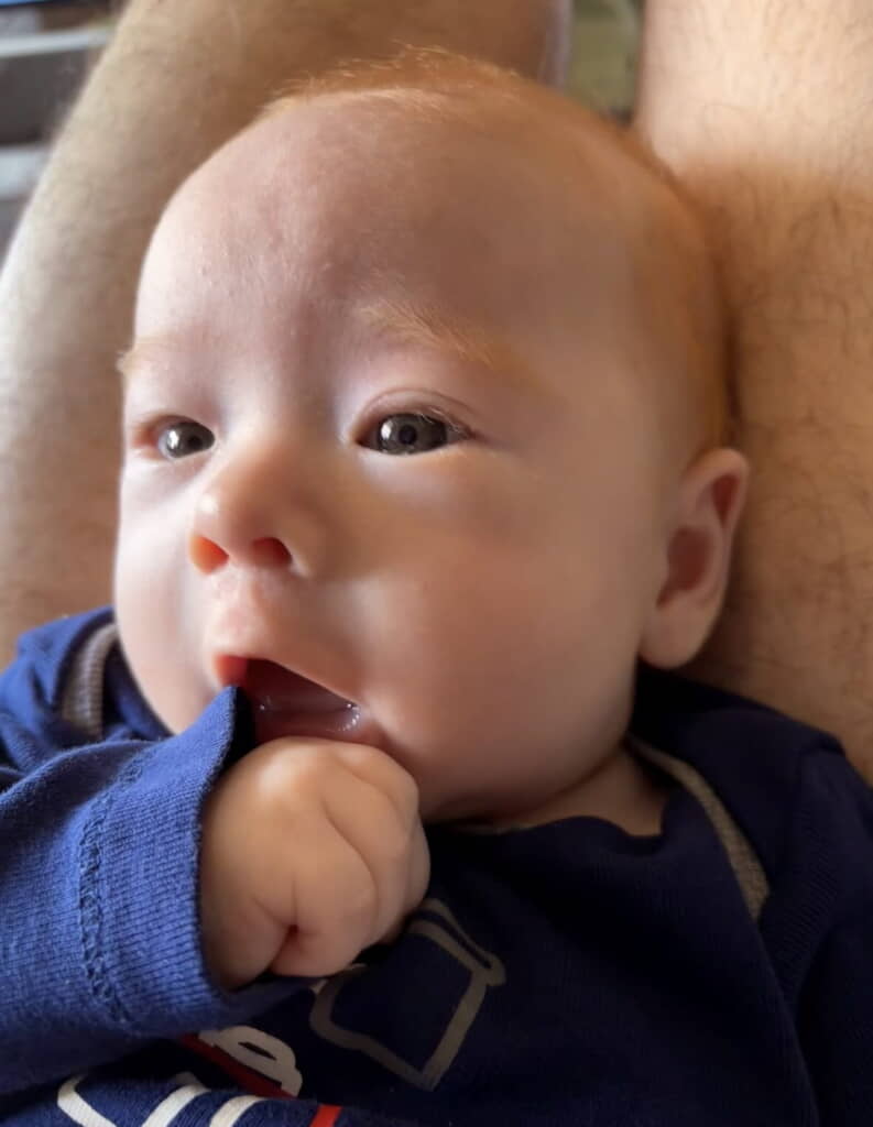 眉毛まで赤いのですね