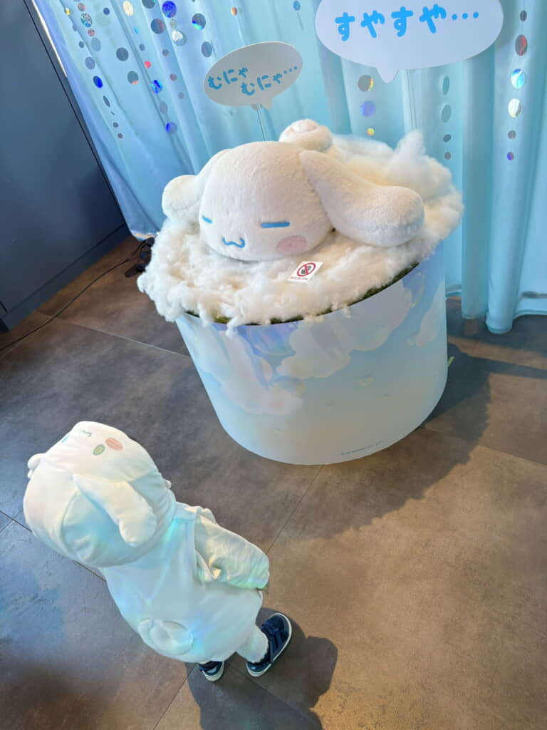 眠るシナモンの前に……シナモン!