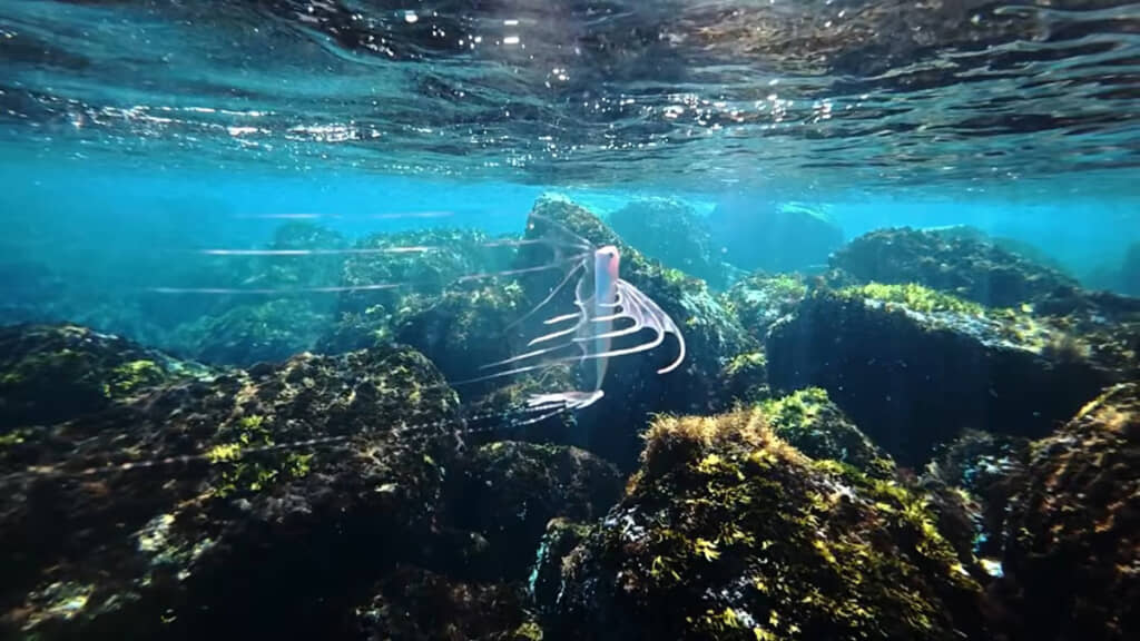 こ、この生き物はいったい!?