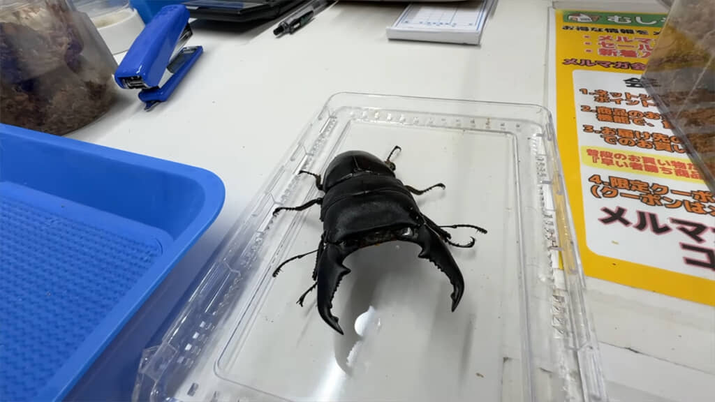 お会計の前に生体の状態も確認しました